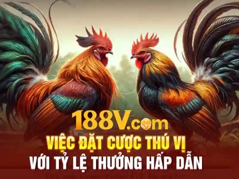 188V là gì?\n