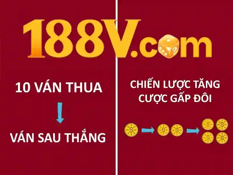 Mô hình và ví dụ thực tế