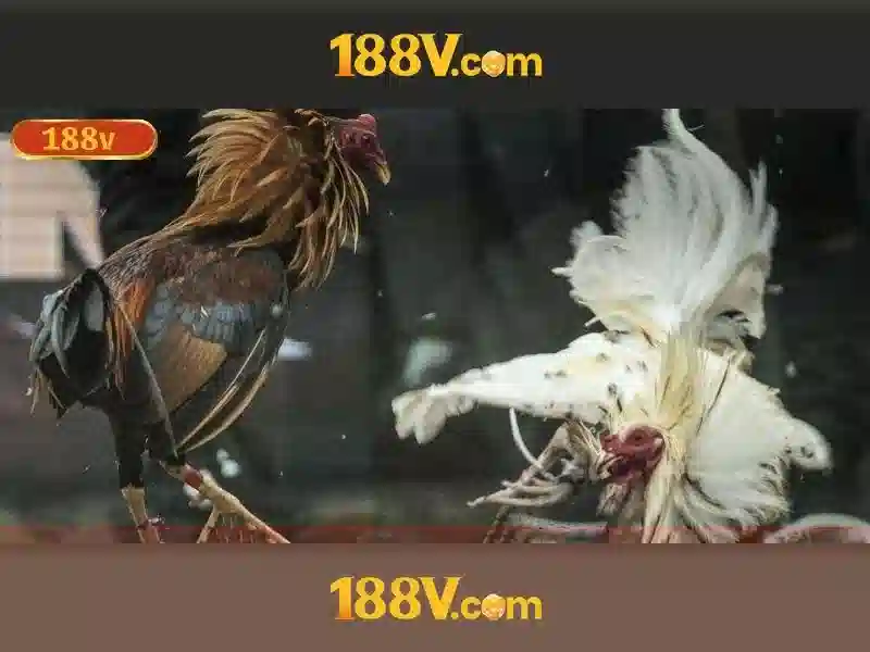 '188v ở công nghệ và dữ liệu'