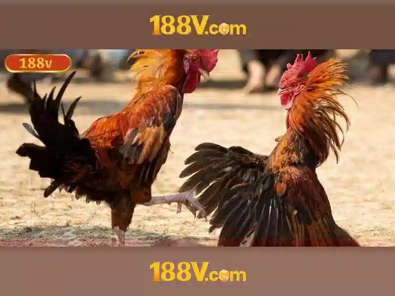 Kết luận và thách thức của 188v