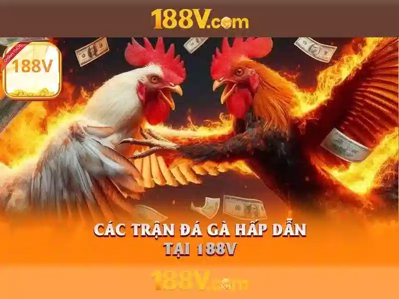 Tải app 188v – Tổng quan và giá trị cốt lõi