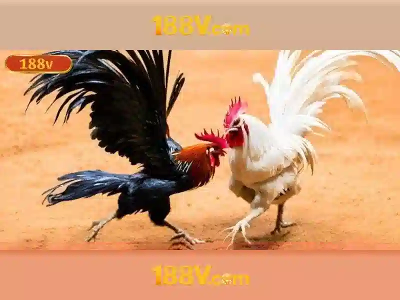 188v: một khung thời gian và ý nghĩa