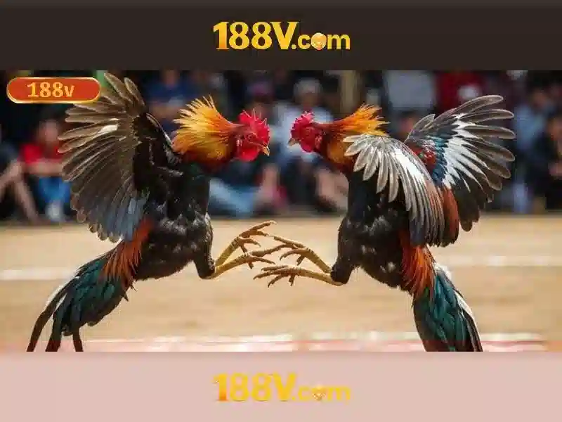 Nguồn gốc và phát triển\n\n