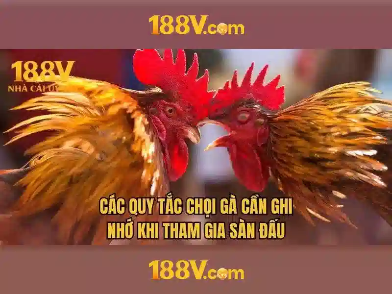 Kết luận