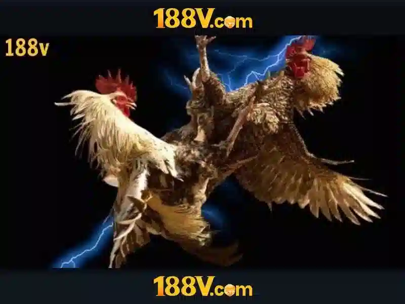 Mẹo chơi bắn cá 3 cây dễ ăn tiền nhà cái