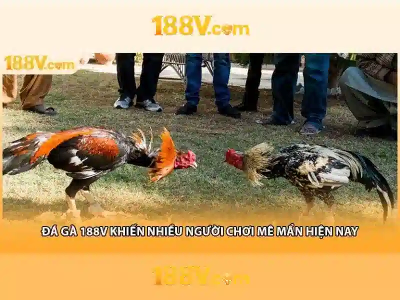 Mẹo chơi bắn cá 3 cây dễ ăn tiền nhà cái