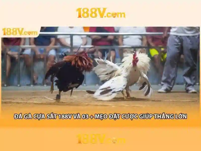 Mẹo chơi bắn cá 3 cây dễ ăn tiền nhà cái
