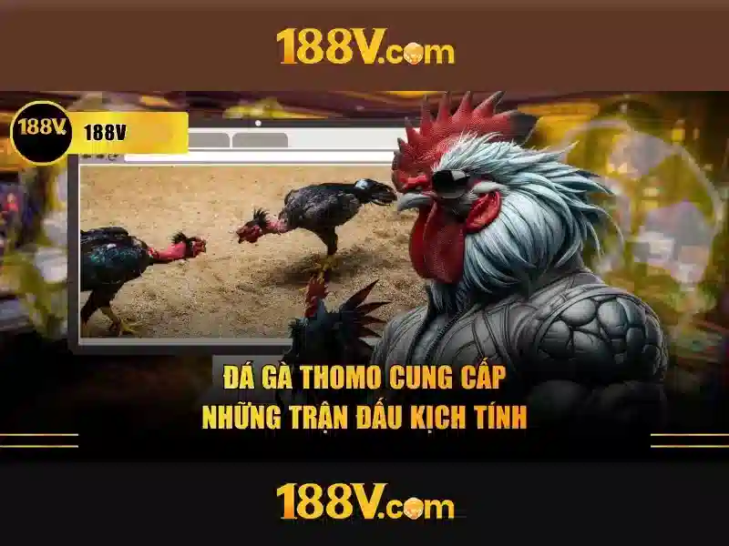 Nguồn gốc và ý nghĩa\n