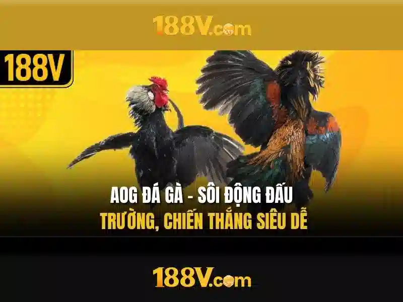Các ứng dụng và ảnh hưởng