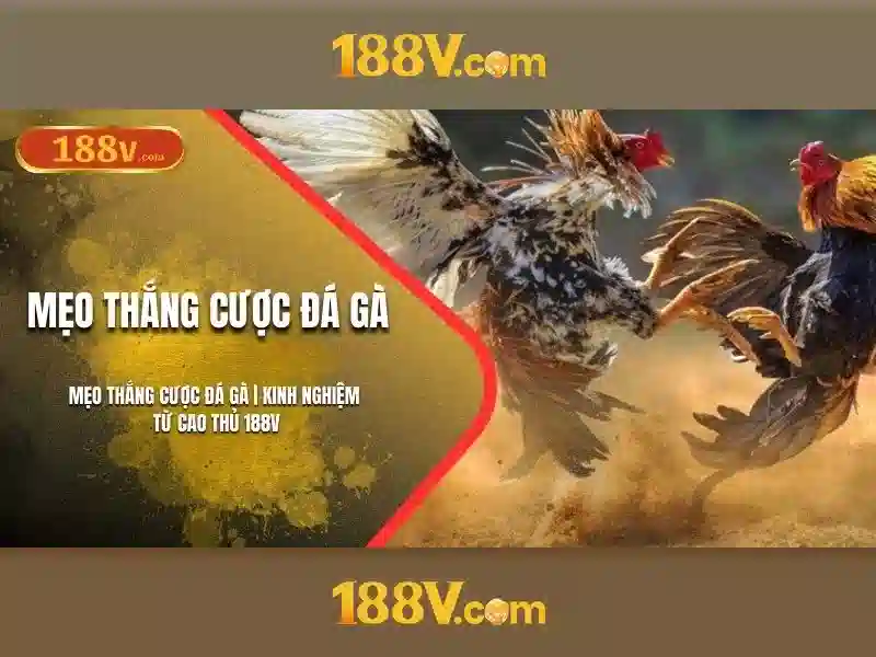 Nắm bắt 188v - khía cạnh của thời gian và dữ liệu
