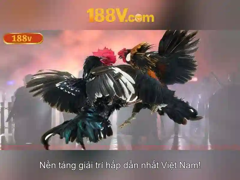 Ý nghĩa của 188v trong ký ức và dữ liệu\n