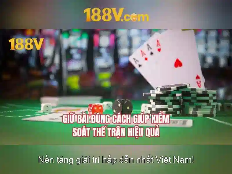Trải nghiệm người dùng và phản hồi từ cộng đồng