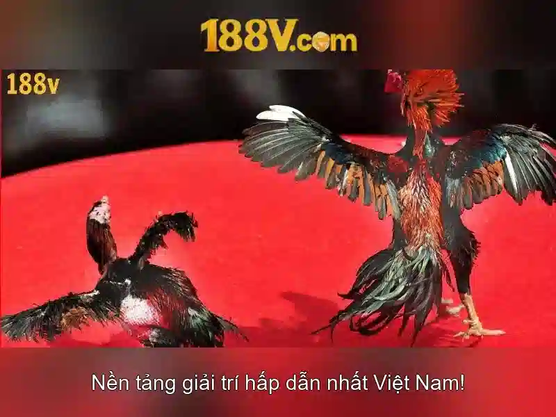 Nút thắt và sứ mệnh