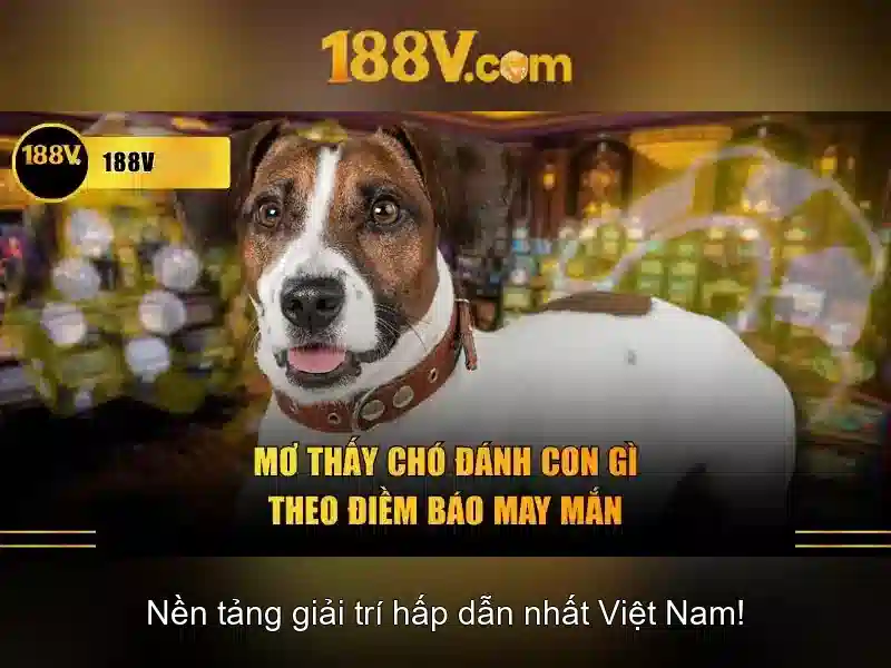 Khám phá 188v: một hành trình sáng tạo