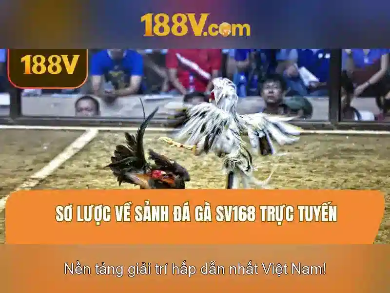 Giới thiệu về 188v\n