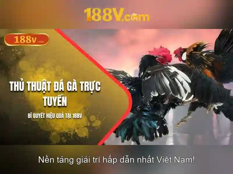 Khởi nguồn của 188v