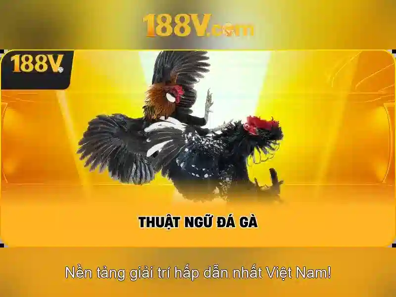 Khởi đầu với 188V