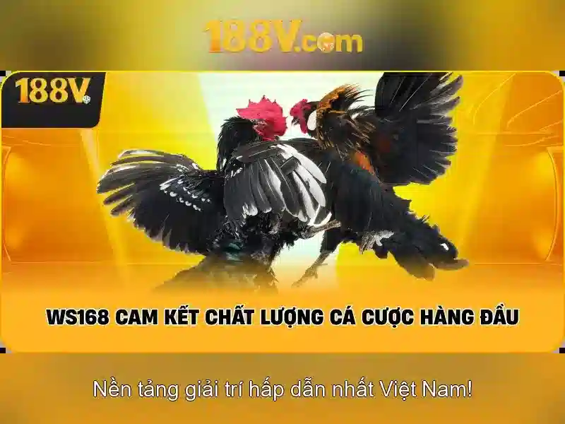 188v và thế giới số mới