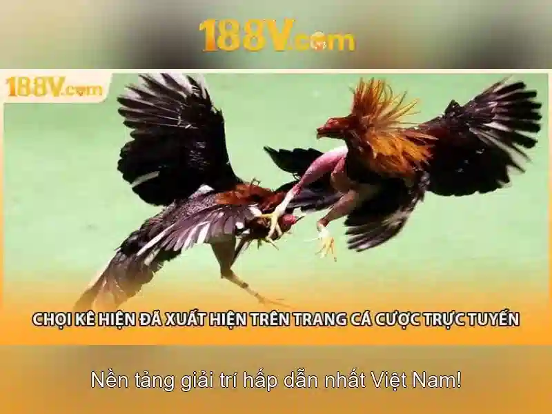 188v: một ký ức điện và hành trình giữa rừng dữ liệu