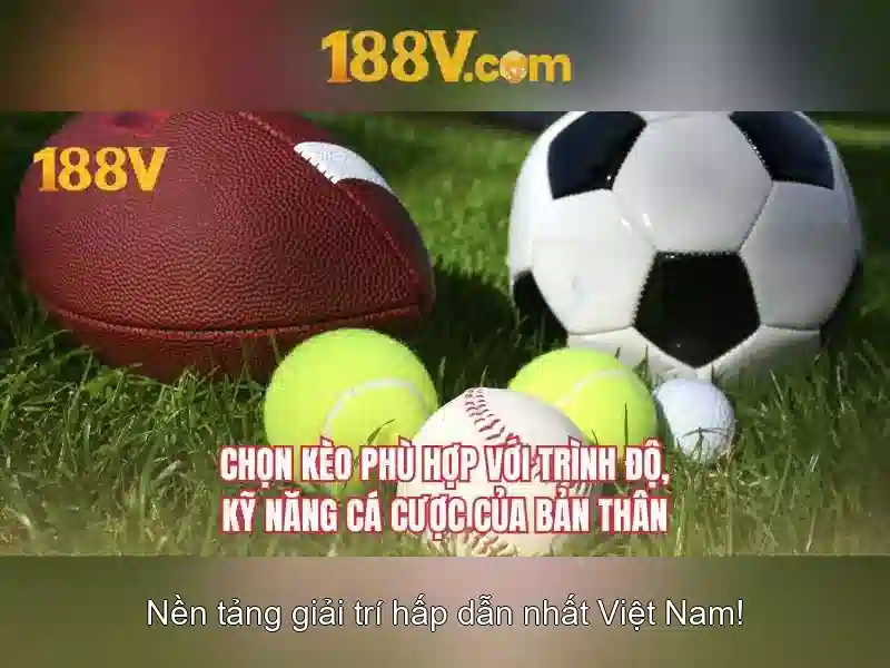 Ứng dụng trong nghệ thuật số