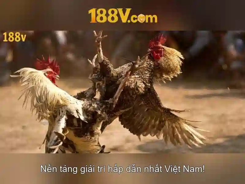 188v: một khái niệm và hành trình khám phá