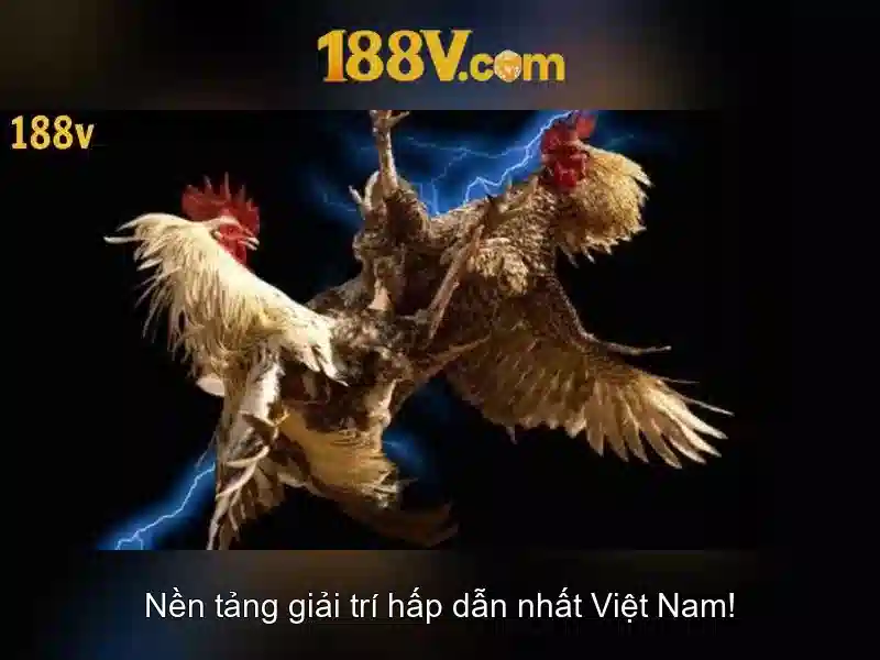 Phân tích đo lường và thiết bị