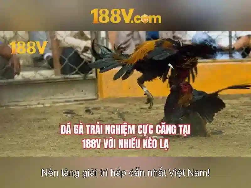 Mẹo chơi bắn cá 3 cây dễ ăn tiền nhà cái