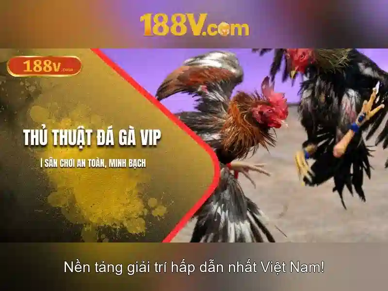 Cách ứng dụng 188V trong đời sống hàng ngày