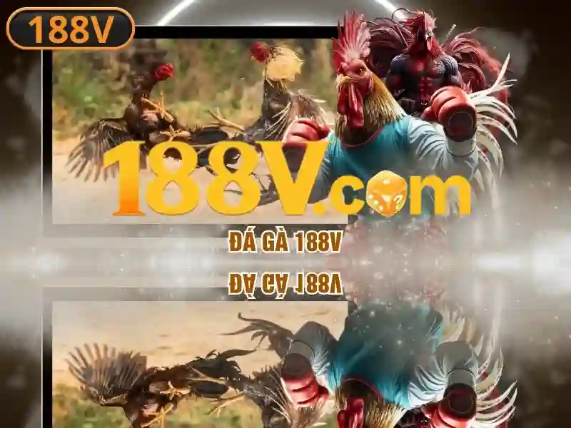 Tóm tắt và lời mời trải nghiệm